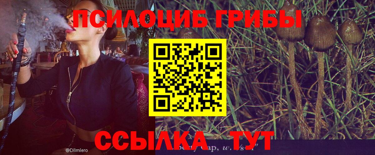 Псилоцибиновые грибы Psilocybe  Псилоцибиновые грибы MAGIC MUSHROOMS  Вход с VPN  Ставрополь 